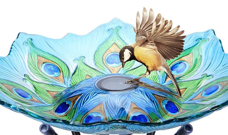 solar glass bird bath with stand